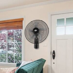 images (1)